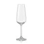 Giselle Crystal Champagne Flute Glasses 190ML - Set Of 6