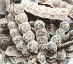 Nigeria Nep Nep Bagaruwa Acacias 1OZ