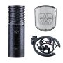 Microphones Spirit Black Bundle