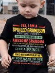 Yes I Am A Spoiled Grandson Print Boy's Short Sleeve T-Shirt Versatile Loose Round Neck Breathable Casual Top