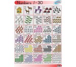 Numbers 1 - 30 Poster