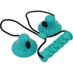 Suction Cup Dog Chew Toy - Blue