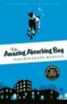 The Amazing Absorbing Boy Paperback