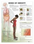 Risks Of Obesity