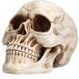 Halloween Decorations - Skulls