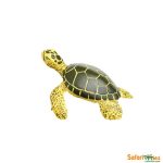 Sea Life Green Sea Turtle Baby