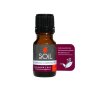 Aromatherapy Oil 10ML Cinnamon