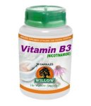 Willow - Nicotinamide B3 450MG 100 Capsules