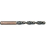 Alpen Hss Sprint Master 10.0 Mm Bulk Din 338 Drill Bit ALP626010