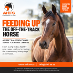 Feeding The Ottb – Ahfs Educational Ebook