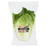 Cabbage Head