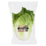 Cabbage Head