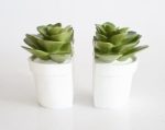 S 2 Succulent Bookends – 15X15CM