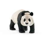 Wildlife - Giant Panda Male