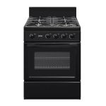 60CM Gas Stove With Electric Oven - UGE016BI