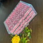 Eralove Pink Jewellery Box