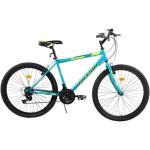 29" Eclipse Mtb
