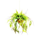 Overture Fern Ball