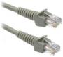 MicroWorld 10M CAT5E Network Flylead