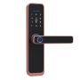 Intelligent Smart Door Lock - Rose Gold