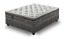 Sealy – Borgio Plush