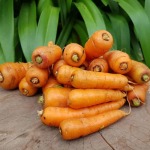 Heirloom Foods – Organic Carrots 1KG