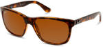 Ray Ban RB4181 Polarized