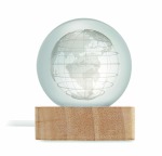 Globe Light