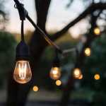 Festoon Outdoor String Lights Black - Hanging Lamp Holder