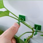 10PCS Plant Climbing Wall Fixture Clips Self-adhesive Hook Vines Traction Invisible Holder Supporting Wire Fixing For Garden Wal