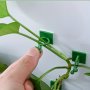 10pcs Plant Climbing Wall Fixture Clips Self-Adhesive Hook Vines Traction Invisible Holder Supporting Wire Fixing For Garden Wall Clip Vines Fixing Clips Self-Adhesive Hook