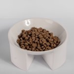 Sylvester Cat Bowl - Gloss White