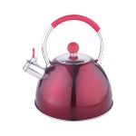 Dh - Unique Color Stainless Steel Kitchen Whistle Stove Top Kettle - 3LTR