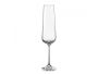Sandra Crystal Champagne Flute Glass 200ML - Set Of 6