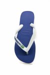 Havaianas Brasil Logo Flip Flop