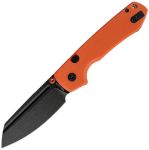 Raccoon A2931