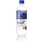 Blackcurrant Sparkling Buchu Water 500ML