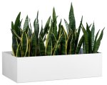 Awesome Cabinet Trough Planter Small – TROUGH01EP