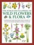 Wild Flowers & Flora The World Encyclopedia Of - A Reference And Identification Guide To 1730 Of The World&  39 S Most Significant Wild Plants   Hardcover