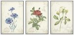 WALL26 Framed Canvas Print Wall Art Set Victorian Style Blue Red & White Flowers Nature Floral Illustrations Realism Rustic Colo