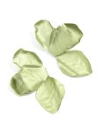 GREE N Coated Metal Flower Petal Drop Earrings