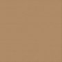 Text. Cardstock - Caramel/cinnamon 12X12 216GSM 10 Sheets