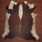 A Grade Cow Hide 2117 Brown white L - Medium Brown white Panelled