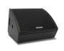 Samson RSXM12A : 12 Active Monitor