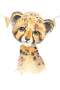 Baby Watercolour Leopard Canvas Print - 600MM X 600MM
