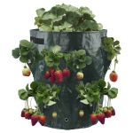 3 Gallon Hanging Strawberry Grow Bag