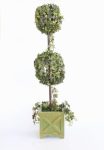 Two Ivy Leave Topiary Balls In Wooden Pot – 117X35CM