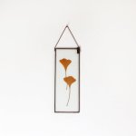 Velt Botanical Frame - Gingko - 9CM X 24CM Rectangle