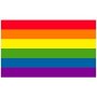 Gay Rainbow Sisters Gay Pride Flag Rainbow Flag