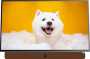 Google 24STF6800 O Skyworth 24 Fhd Tv - Orange 1920 X 1080 Resolution HDMI X 1 USB X 1 Bluetooth 5.1 Wifi